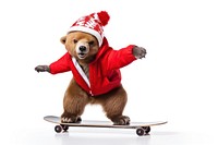 Bear skateboard portrait mammal. AI generated Image by rawpixel.