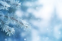 Pine tree snow snowflake