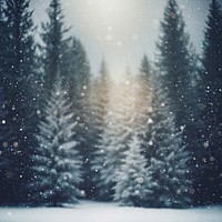 Tree snow backgrounds snowflake