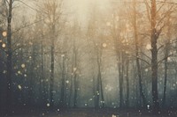 Tree backgrounds snowflake outdoors. AI generated Image by rawpixel.
