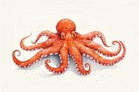 Octopus animal invertebrate cephalopod, digital paint illustration.