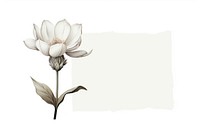 Drawing flower sketch petal. AI generated Image by rawpixel.