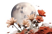 Flower outdoors nature sphere. AI generated Image by rawpixel.