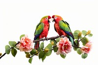 Parrot flower animal green. 