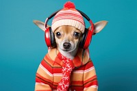 Headphones portrait headset mammal. 