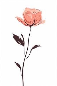 Drawing flower rose sketch. 