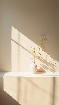 Sunlight flower window plant. 