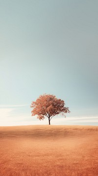 Tree sunlight outdoors horizon. 