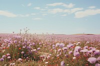 Flower field landscape grassland. 