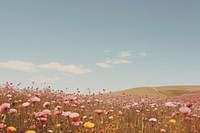 Flower field landscape grassland. AI generated Image by rawpixel.