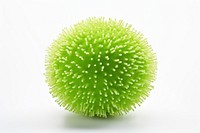 Sphere green plant white background. AI generated Image by rawpixel.