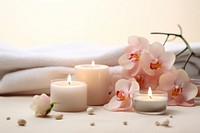 Candle flower plant spa. 