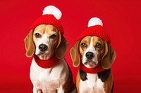 Beagle dog christmas mammal. AI generated Image by rawpixel.