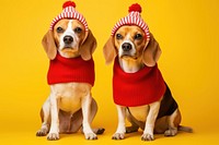 Beagle dog christmas mammal. AI generated Image by rawpixel.
