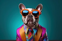 Dog bulldog fashion animal. AI generated Image by rawpixel.