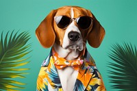 Beagle sunglasses portrait fashion. 