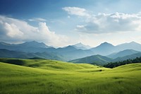 Field grass landscape grassland. 