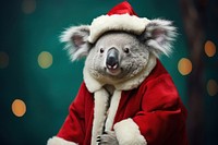 Koala christmas portrait costume. AI generated Image by rawpixel.