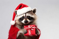 Raccoon christmas portrait costume. 