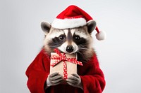 Raccoon christmas portrait costume. 