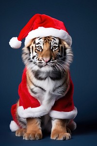 Tiger christmas mammal animal. 