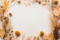 Flower backgrounds plant dry. 