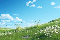 Flower sky grassland landscape. 