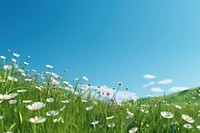 Flower sky grassland landscape. 