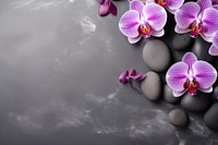 Orchid flower purple petal. AI generated Image by rawpixel.