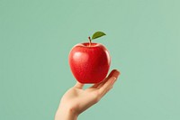 Apple holding fruit plant. 