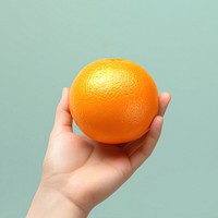 Grapefruit holding orange plant. 