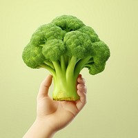 Vegetable broccoli holding plant. 