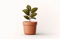 Plant houseplant leaf pot. 