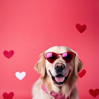 Dog sunglasses retriever portrait. 