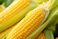 Corn plant food agriculture. AI generated Image by rawpixel.