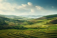 Land farm landscape outdoors. 