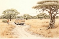 Safari car landscape outdoors. 