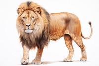 Mammal animal lion carnivora. AI generated Image by rawpixel.