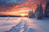 Landscape winter snow panoramic. 