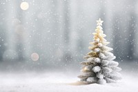 Christmas tree snow outdoors. 