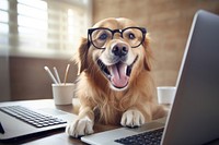 Computer glasses dog sitting. AI generated Image by rawpixel.