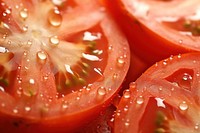 Tomato vegetable slice plant. 