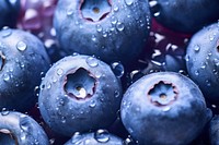 Blueberry fruit plant food. 