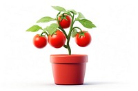 Tomato plant vegetable fruit. AI generated Image by rawpixel.