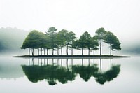 Nature tree lake landscape. 