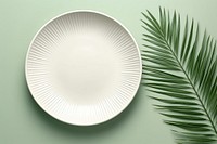 Porcelain platter plate plant. 