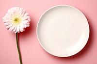 Flower plate white petal. AI generated Image by rawpixel.