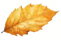 Leaf autumn plant tree. AI generated Image by rawpixel.