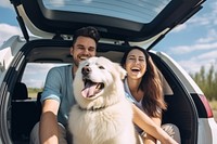 Dog car vehicle smiling. 