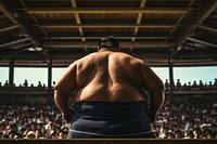 Sumo wrestling sports adult. 